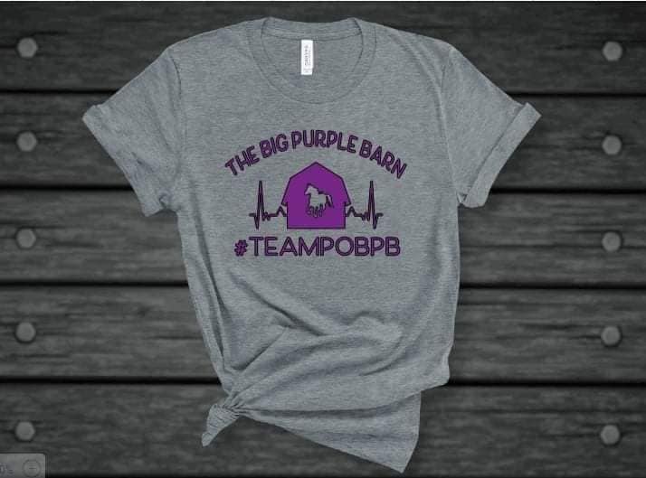 Team Shirt - Non Equine - Grey Shirt With Purple Design