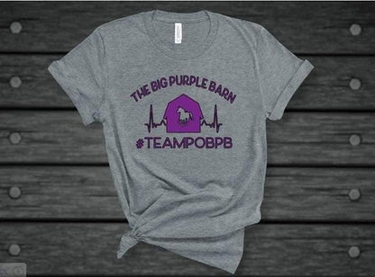 Team Dragon vs Team Unicorn