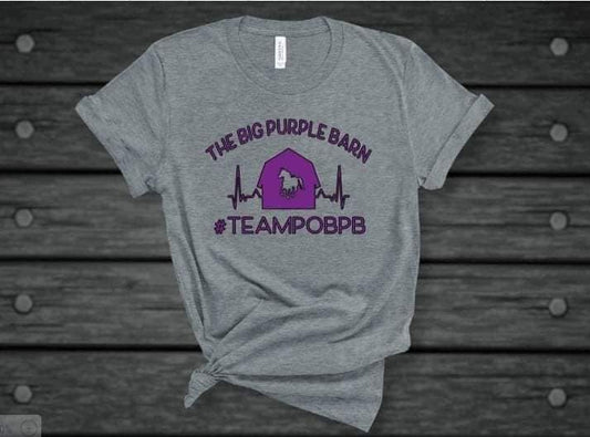 Team Dragon vs Team Unicorn