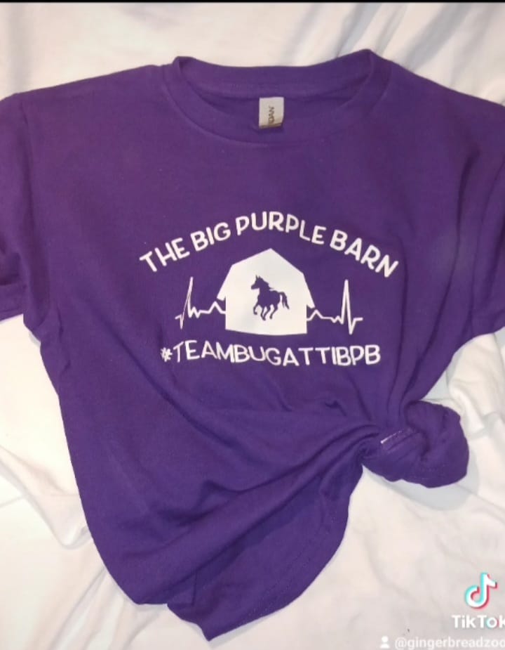 Team Shirt - Equine 1- Purple Shirt with White Design