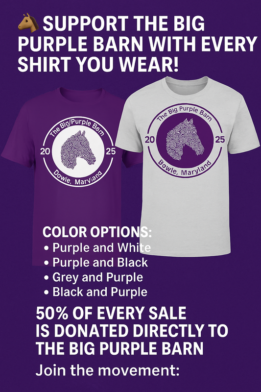 Big Purple Barn Zentangle Shirt